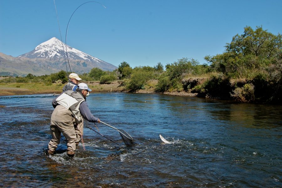Argentina Trout Fishing