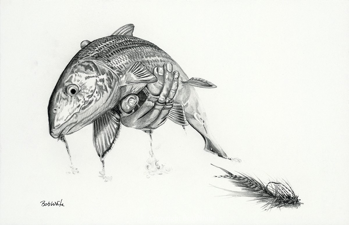 Bonefish Pencil Drawing Bobwhite Studio