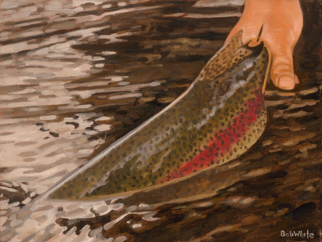 Dark Water Release - Rainbow Trout