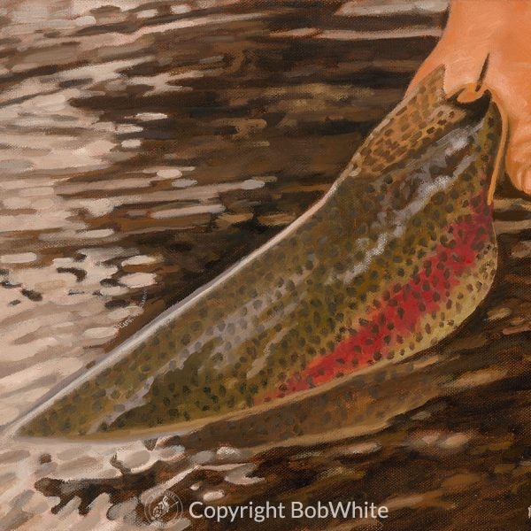 Dark Water Release - Rainbow Trout